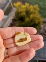 Jantár brošňa č.2 – Obrázok 2