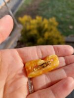 Jantár brošňa č.1 – Obrázok 2