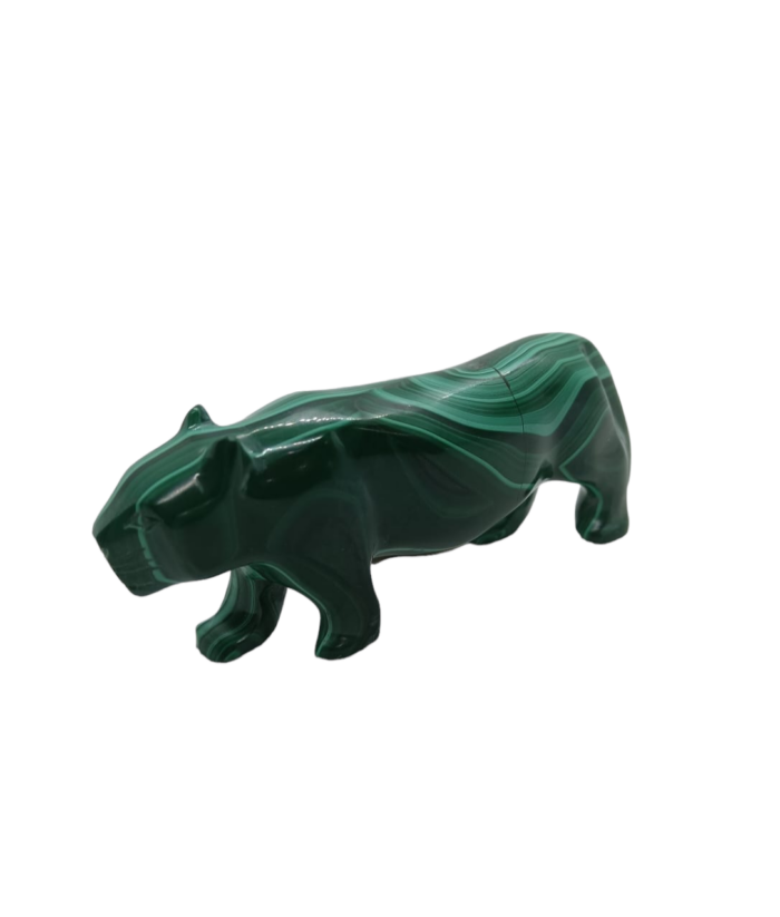 Malachit tiger – Obrázok 2