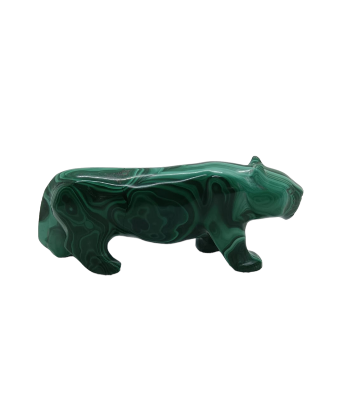 Malachit tiger – Obrázok 4