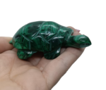 Malachit Korytnačka č.3