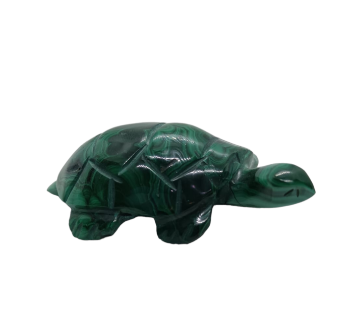 Malachit Korytnačka č.3 – Obrázok 2