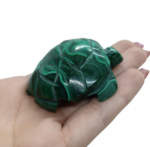 Malachit Korytnačka č.1