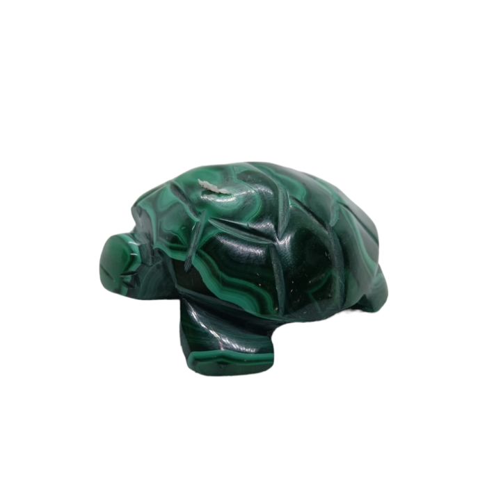 Malachit Korytnačka č.1 – Obrázok 2