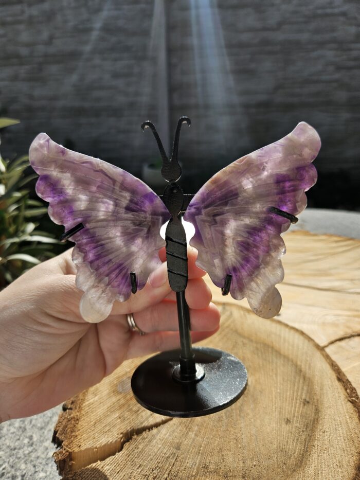 Motýľ AMETYST chevron č.1 – Obrázok 2