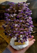 Stromček šťastia široký XXL AMETYST