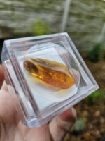 Jantár s chrobáčikom – Obrázok 3