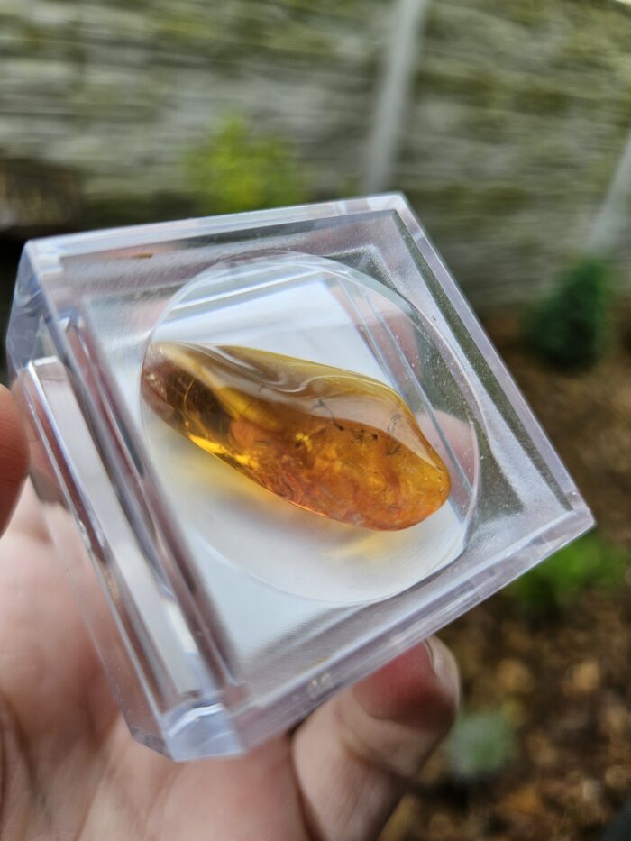 Jantár s chrobáčikom – Obrázok 3
