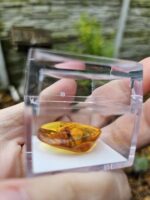 Jantár s chrobáčikom – Obrázok 3