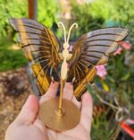 Motýľ TIGRIE OKO na stojane – Obrázok 2