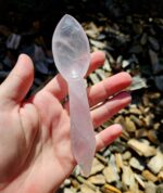 Ruženín LYŽIČKA č.1