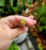 Pero ŽLTÉ - Citrín – Obrázok 2