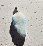 Larimar prívesok krídlo Ag925  č.10 – Obrázok 2