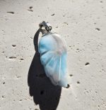 Larimar prívesok krídlo Ag925  č.12 – Obrázok 2