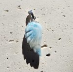 Larimar prívesok krídlo Ag925  č.14