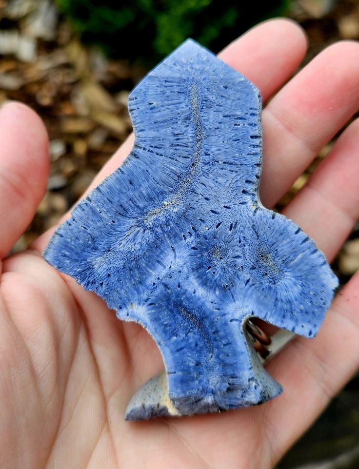 Koral modrý č.1 – Obrázok 2