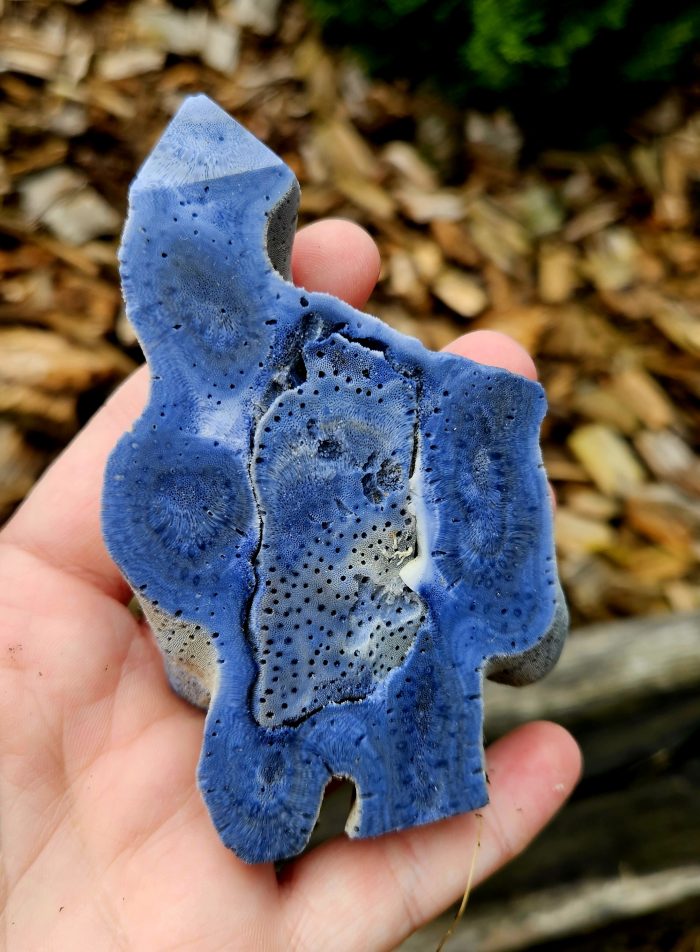 Koral modrý č.3 – Obrázok 2