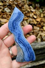 Koral modrý č.5 – Obrázok 2