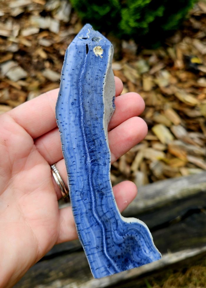 Koral modrý č.4 – Obrázok 2