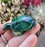 Malachit Korytnačka č.1