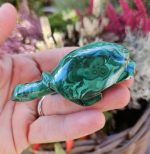 Malachit Korytnačka č.2