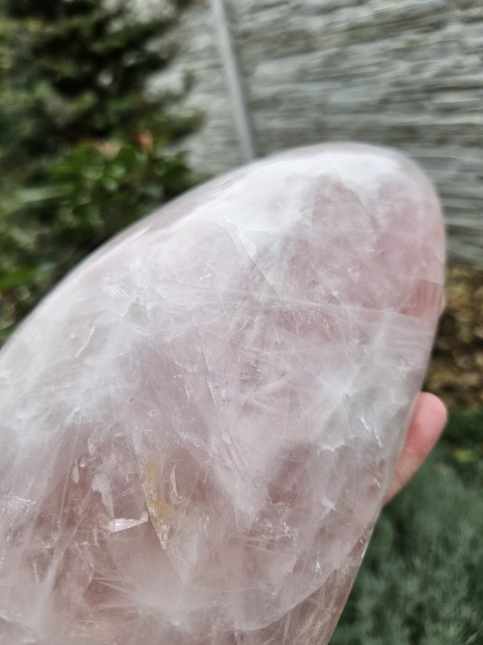 Miska Ruženín 850g č.5 – Obrázok 5