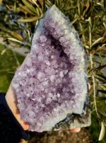 Ametyst drúza Brazília 1170g