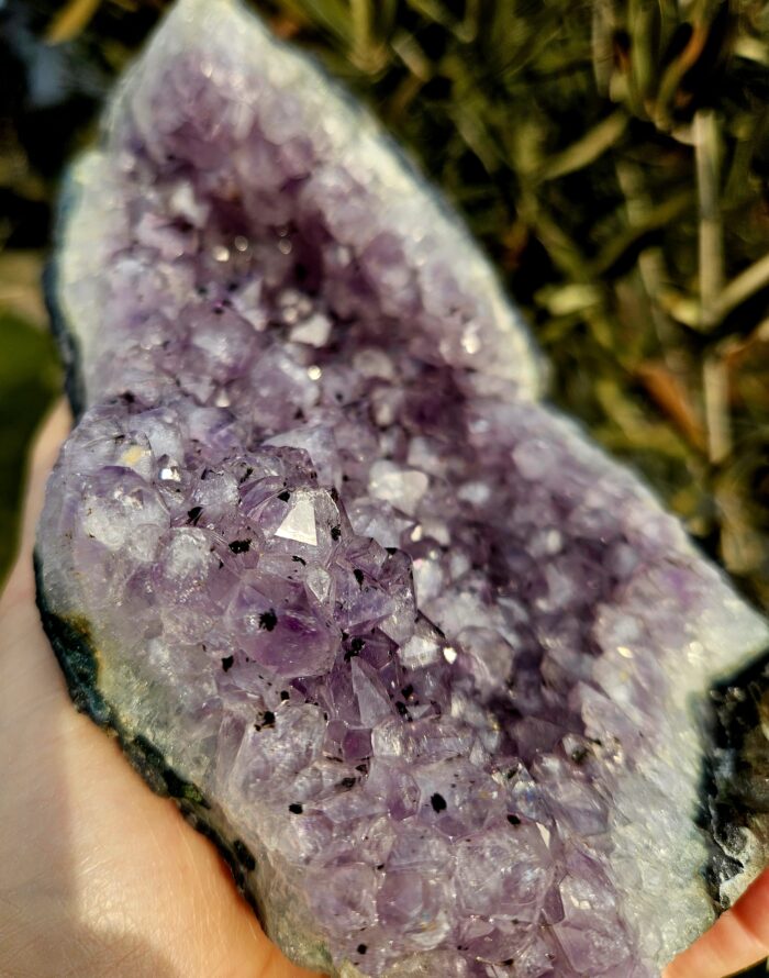 Ametyst drúza Brazília 1170g – Obrázok 2