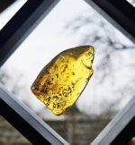 Jantár leštený EQ 11g – Obrázok 2