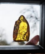 Jantár leštený EQ 11g – Obrázok 3