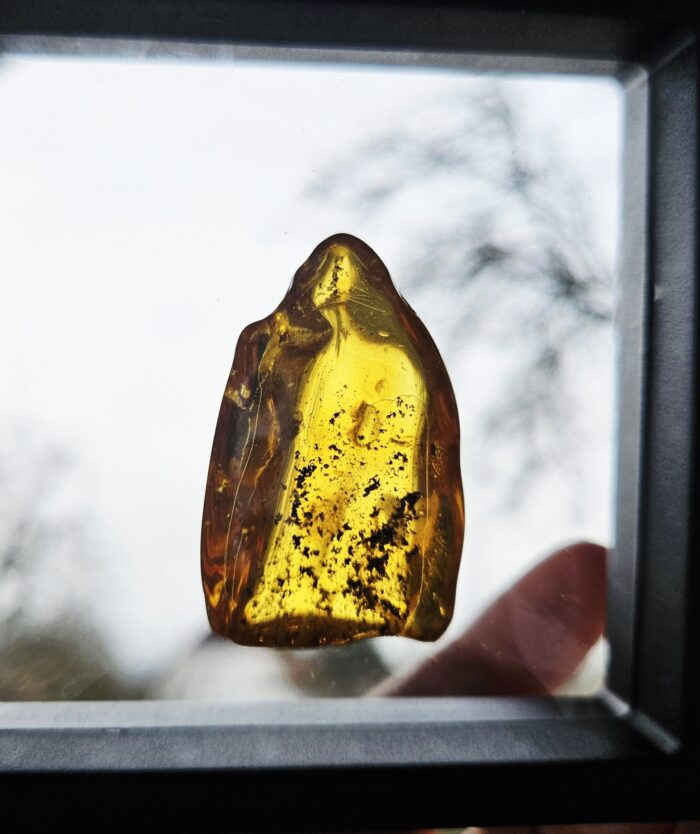 Jantár leštený EQ 11g – Obrázok 3