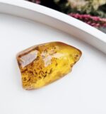 Jantár leštený EQ 11g