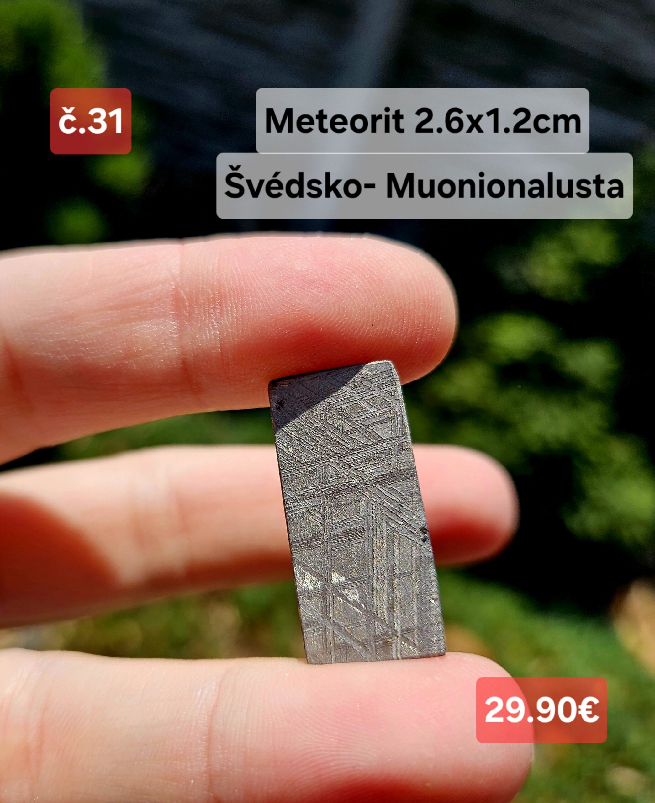 Meteorit Švédsko – Muonionalusta č.31